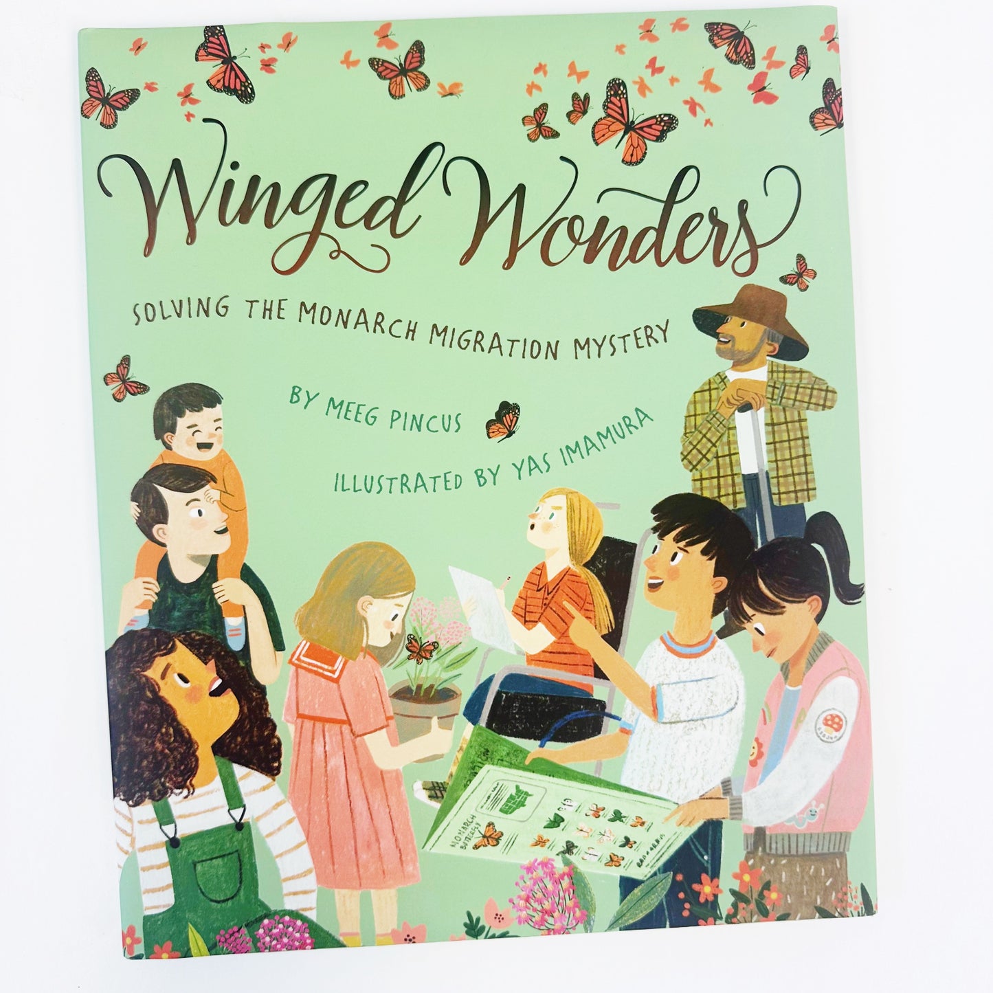 Winged Wonders