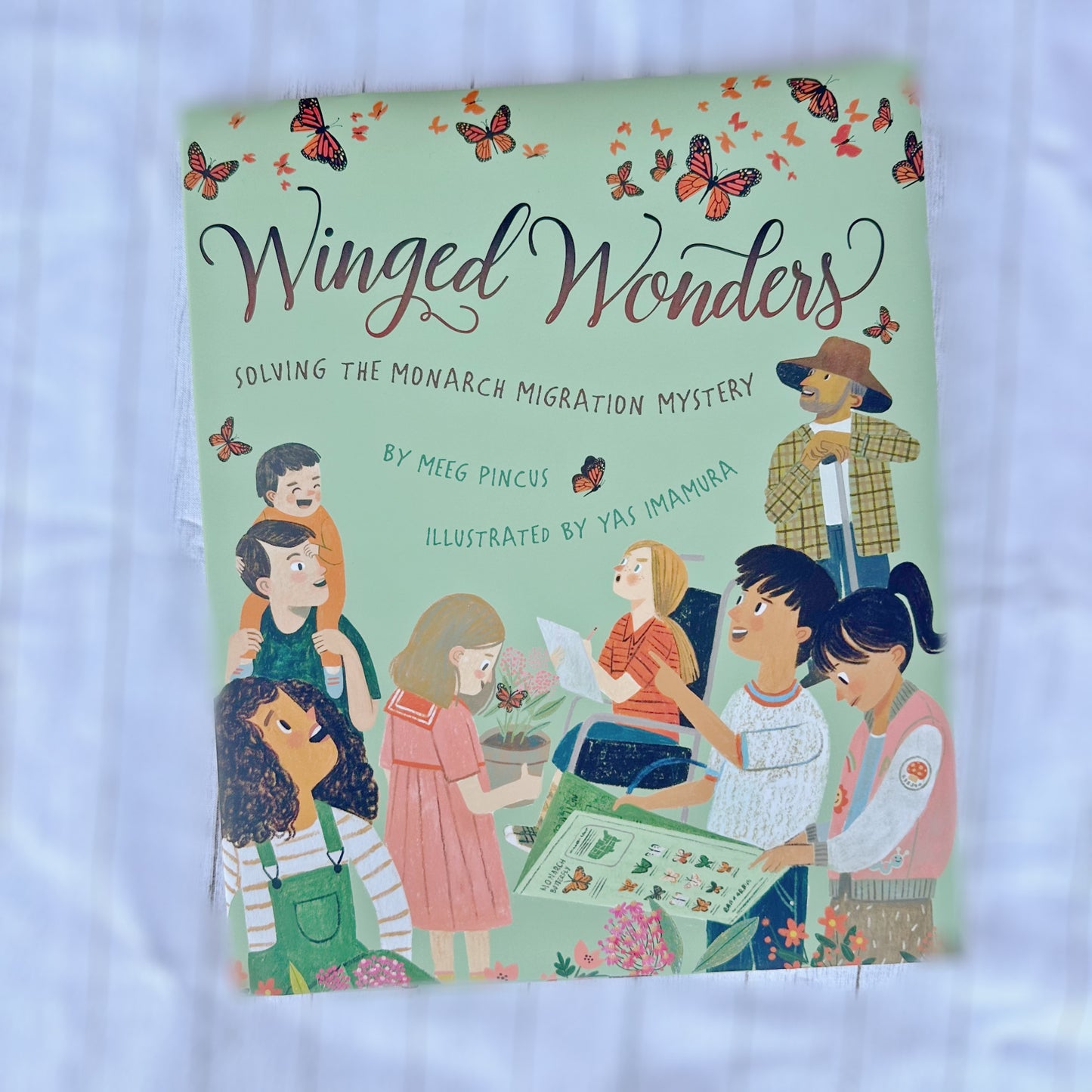 Winged Wonders